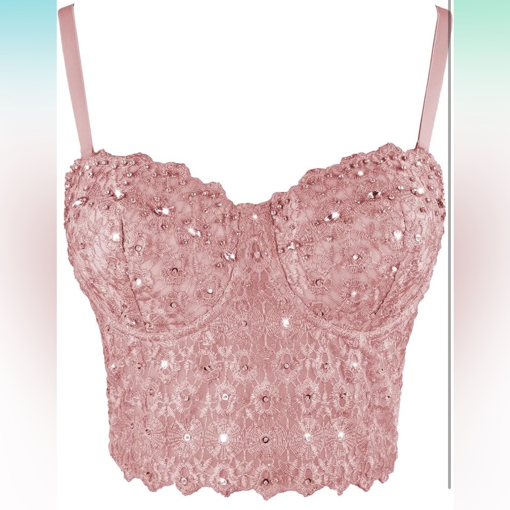 Sequin Lace Pink Bustier/Bralette